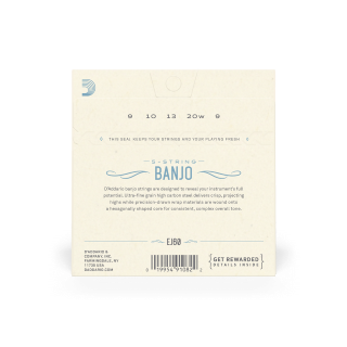 D'Addario Banjo Strings - 09-20 Light, 5-String, Nickel