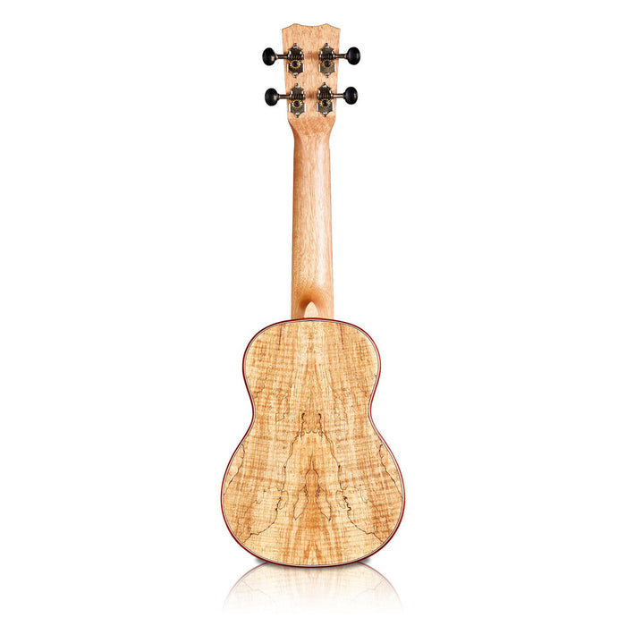 Cordoba 24C Concert ukulele