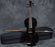 Prima P-103 Black 3/4 Student Violin Outfit Includes Case Rosin & Bow