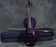 Prima P-103 Purple 3/4 Student Violin Outfit